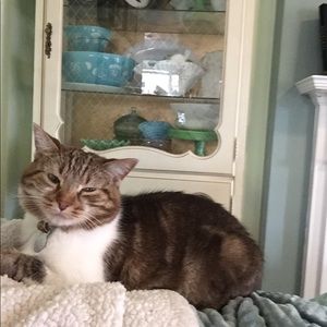 Meet your Posher, Misty